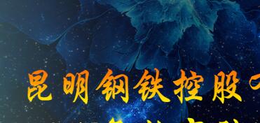 昆鋼集團王素琳簡歷，馬德、陳清泉、王存璘、蘇玲翠、王云萍、錢永祥、孫小躍、官德海、高冰、杜陸軍、趙永平領導班子